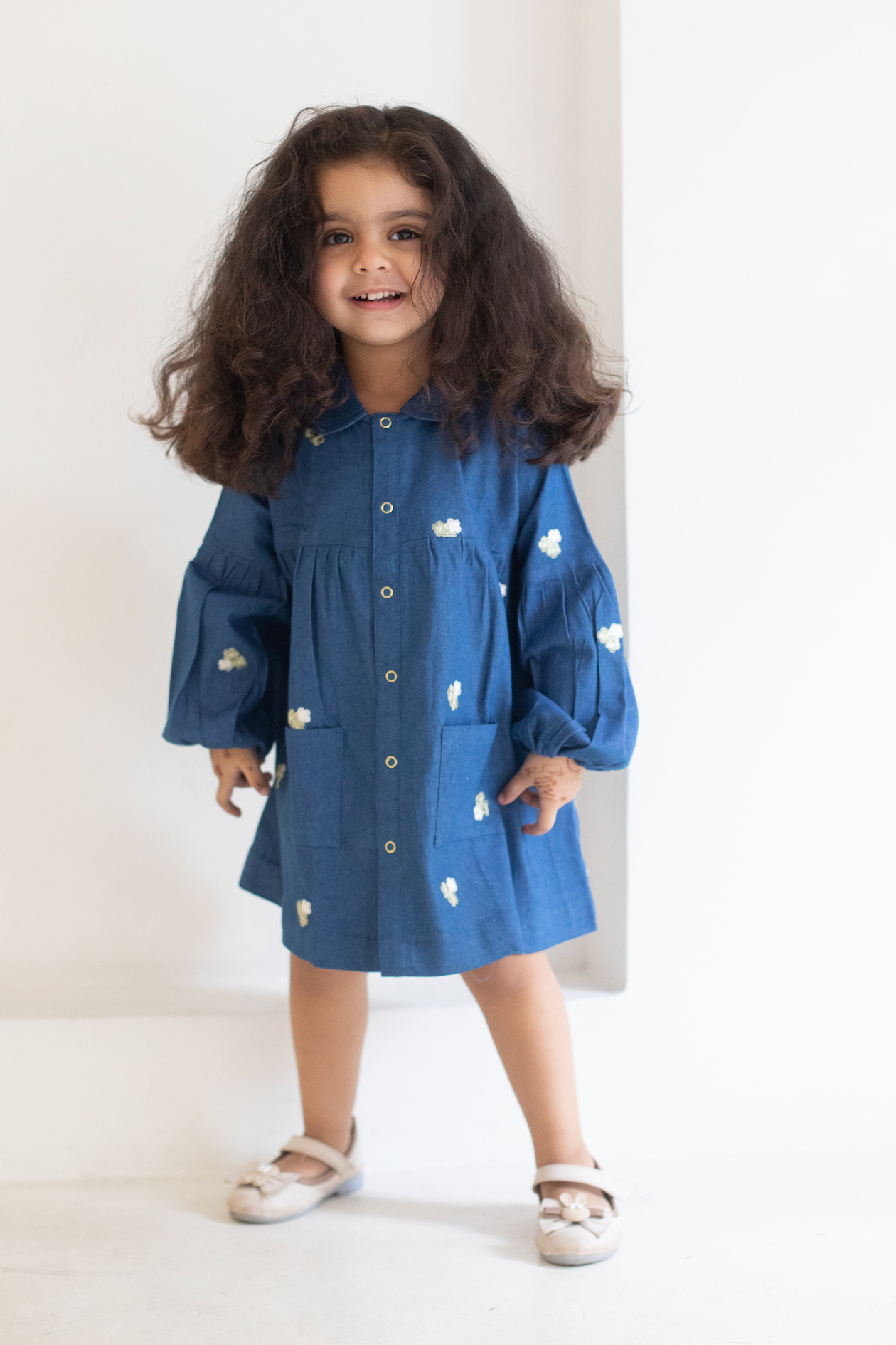Jardines Embroidered Denim Dress