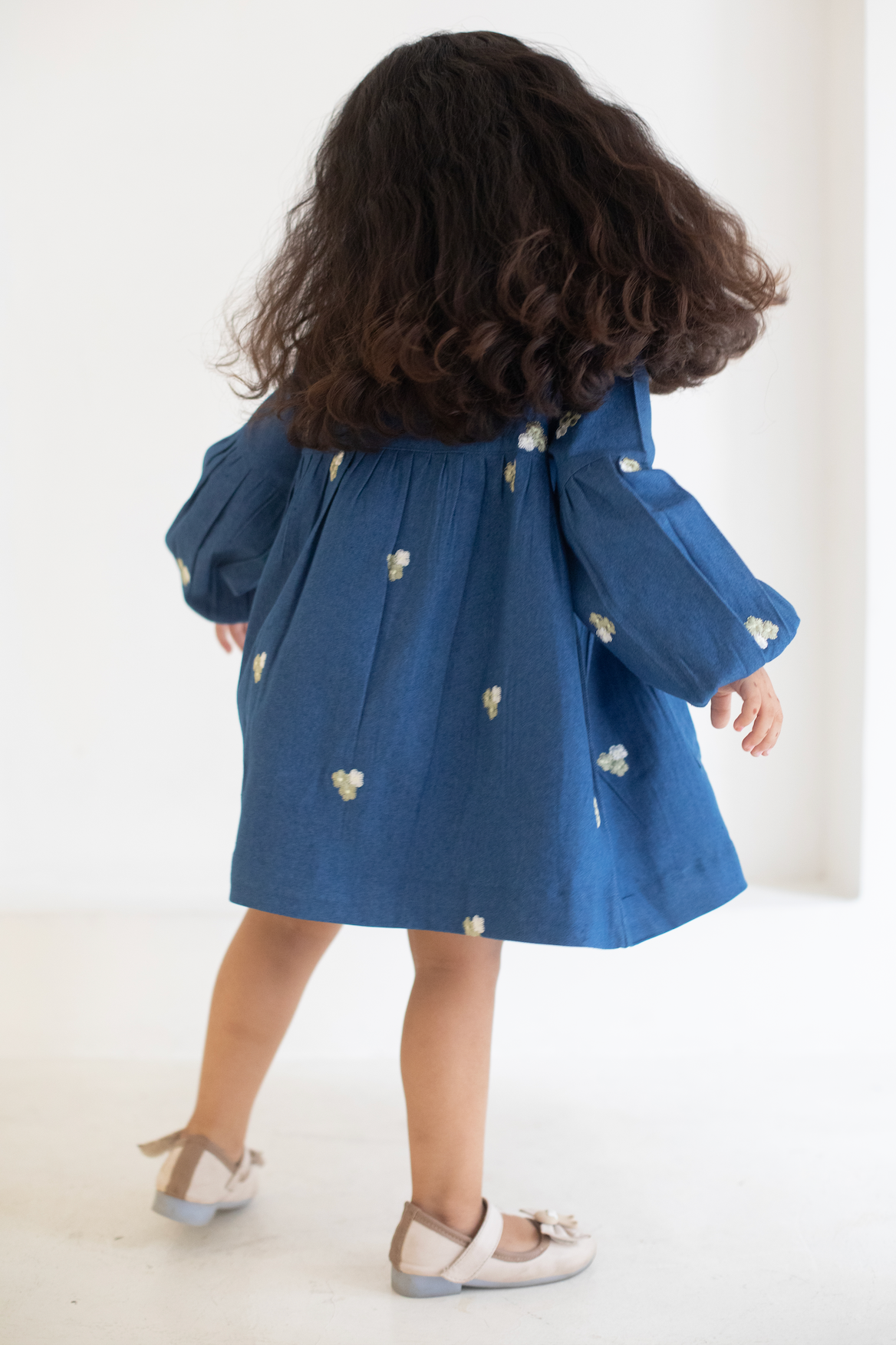 Jardines Embroidered Denim Dress