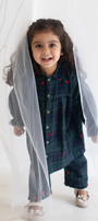 Child wearing a dark plaid outfit with a sheer overlay against a white background