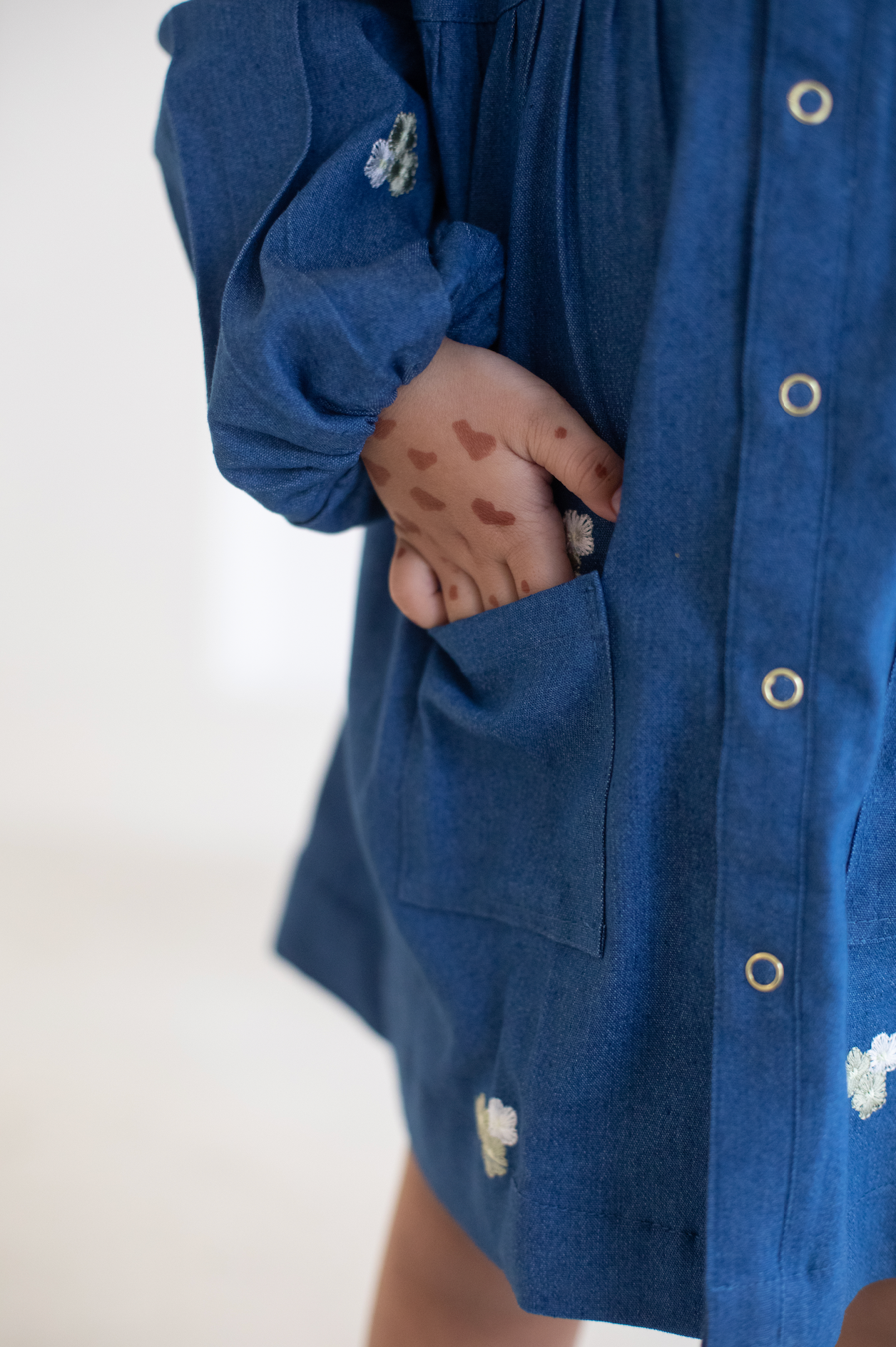 Jardines Embroidered Denim Dress